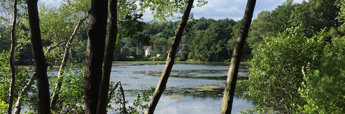 view over a lake